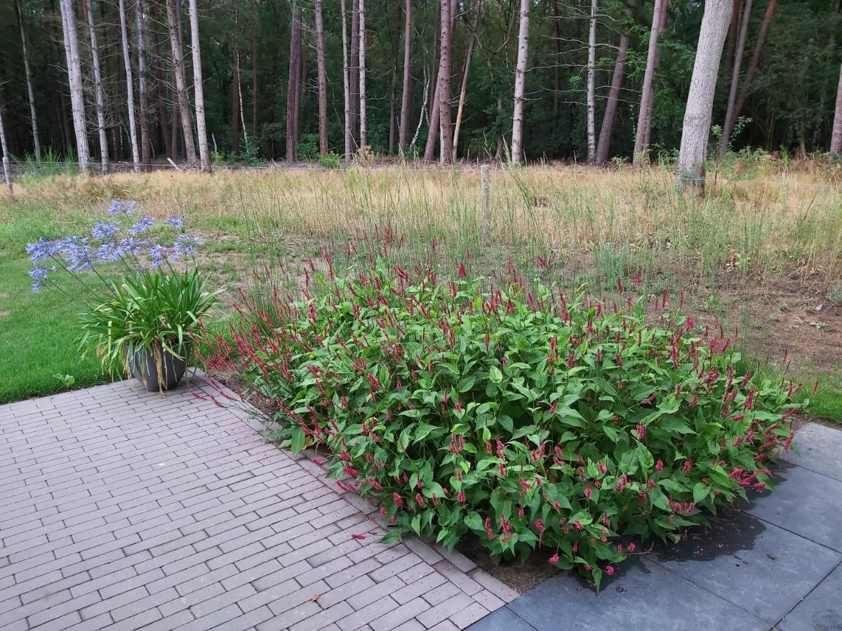 Veul Oe Thuus Hoeve Kroep An Vorden Exteriör bild