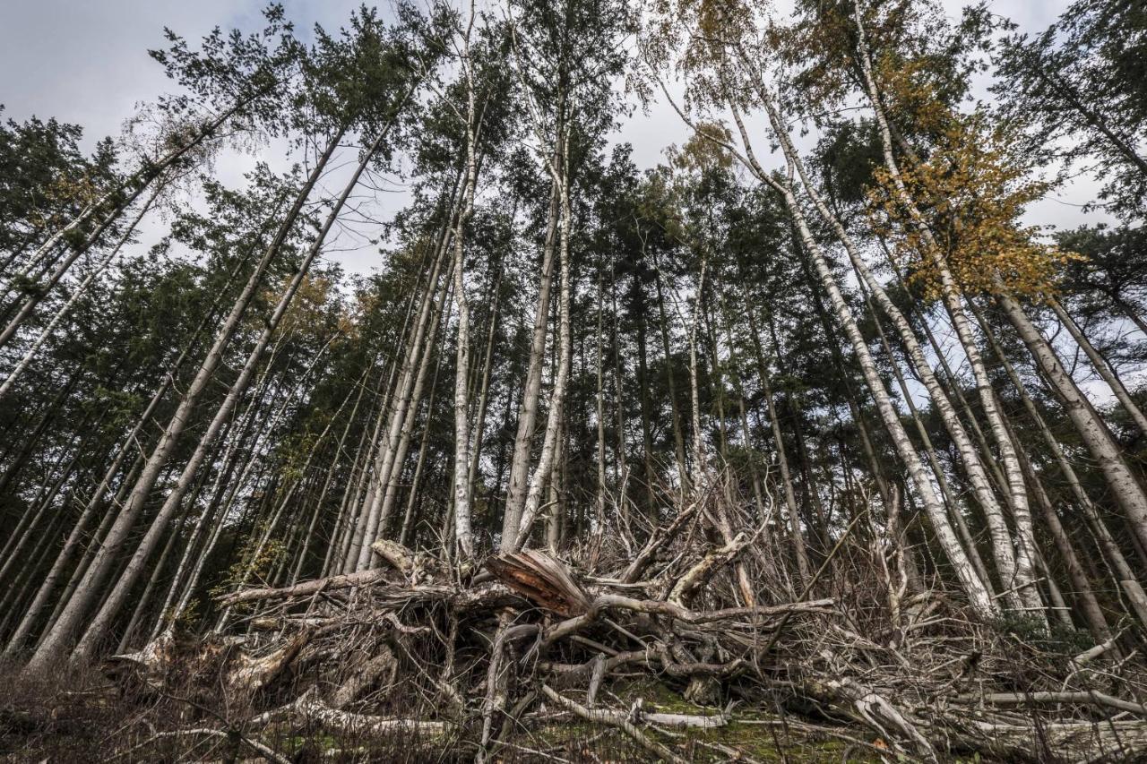 Veul Oe Thuus Hoeve Kroep An Vorden Exteriör bild